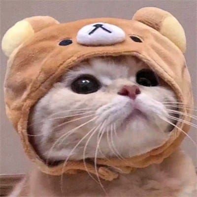 Judy Ann Santos avatar